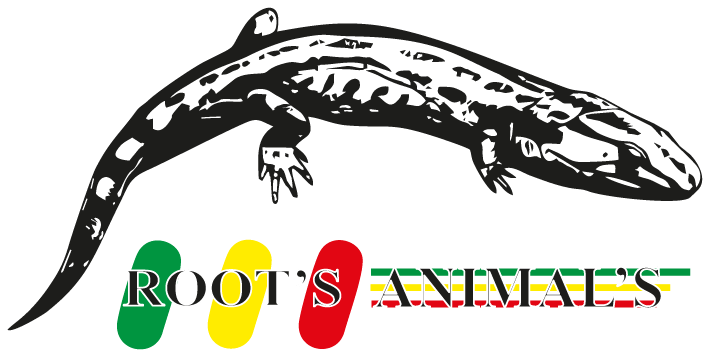 ROOTS ANIMALS